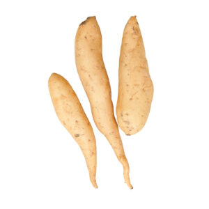 Sweet Potato White 500gr to 600gr