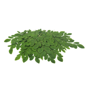 Drumstick Leaves 500gr